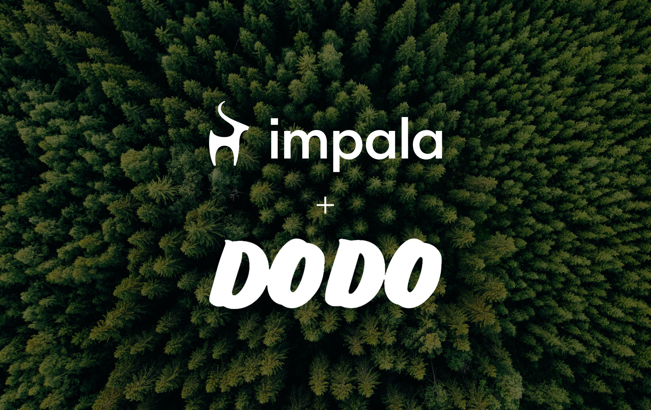 Impala_dodo.jpg